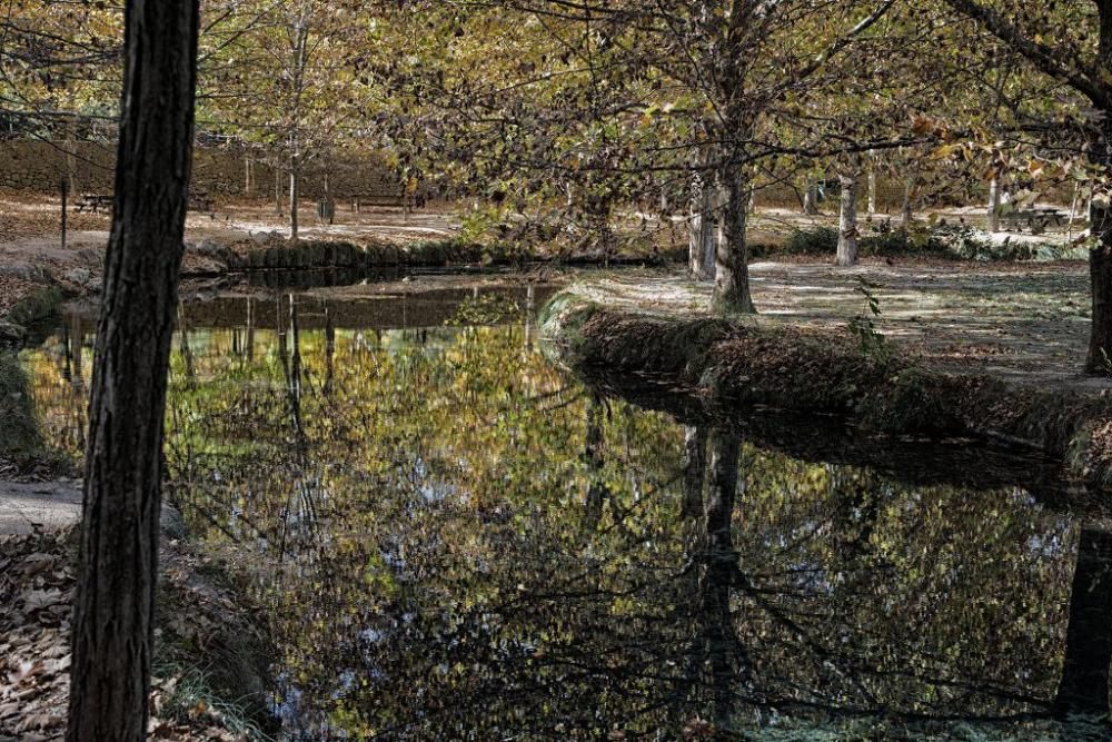 Fuentes del Marques: El otoño nace en Caravaca