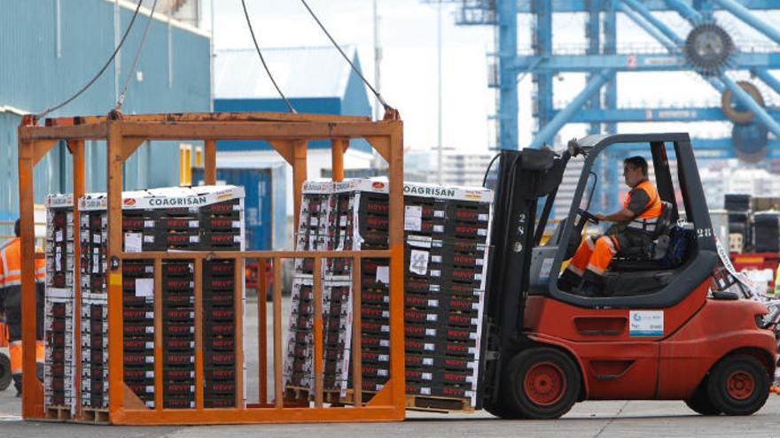 Carga de cajas de tomates para exportación en el Puerto de Las Palmas