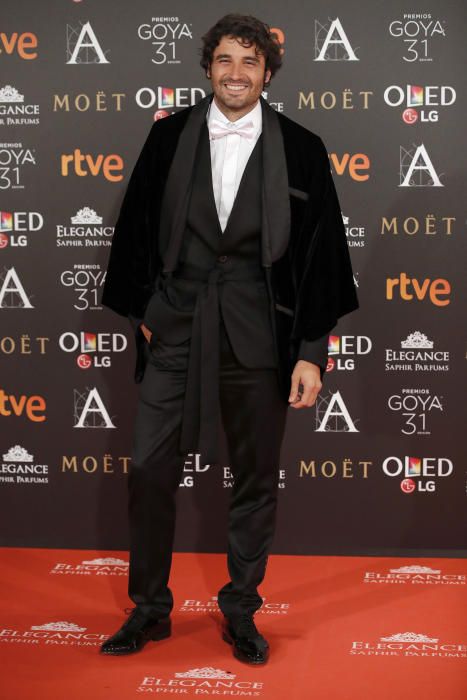 La alfombra roja de los Premios Goya 2017