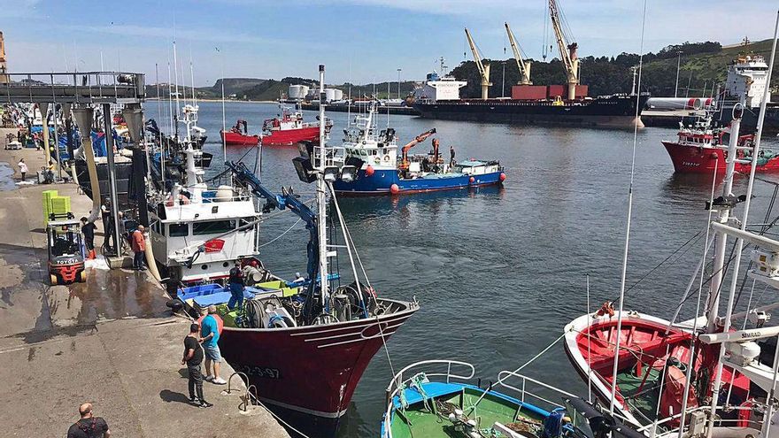 La flota asturiana advierte de &quot;exceso de papeleo&quot; a bordo de los barcos