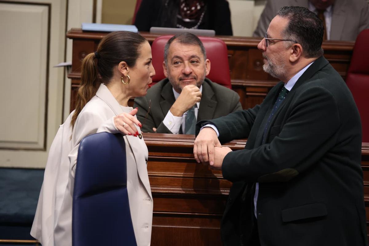 Los diputados Patricia Hernández (PSOE), José Manuel Bermúdez (CC) y Poli Suárez (PP), tras el debate de la PNL del Carnaval.