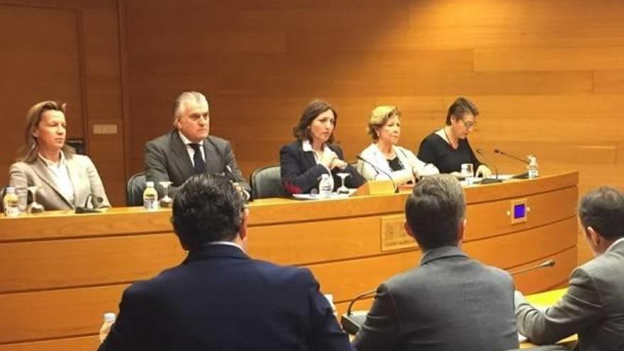 Bárcenas compareciendo ayer en la comisión de las Cortes Valencianas por la gestión del PP en los recintos feriales de la Comunidad.