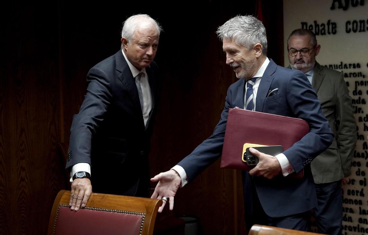 Fernando Grande Marlaska, ministro de Interior, durante su comparecencia en el Senado en la comisión de investigación sobre los contratos públicos realizados durante la pandemia de covid-19, relacionados con la intermediación de Koldo García