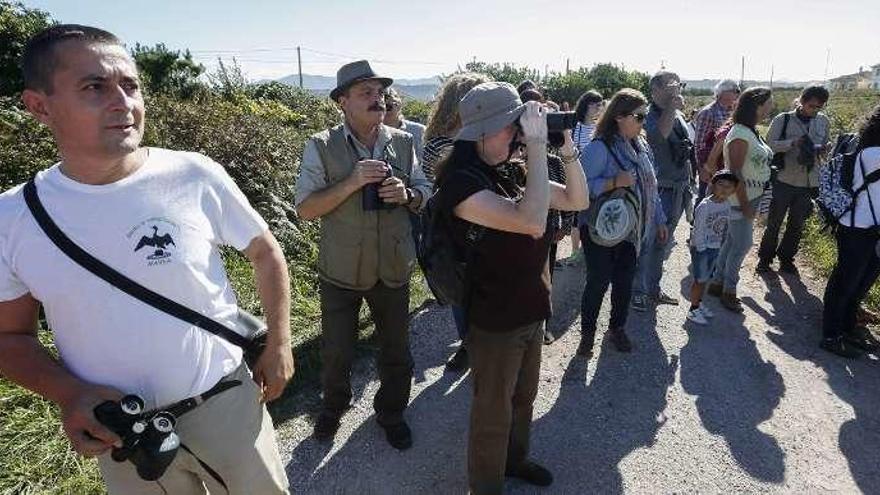 Mavea celebra el Día de las aves