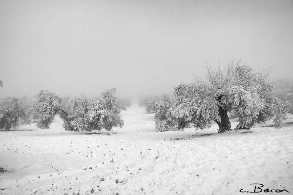 Las fotos de los cordobeses en la nieve