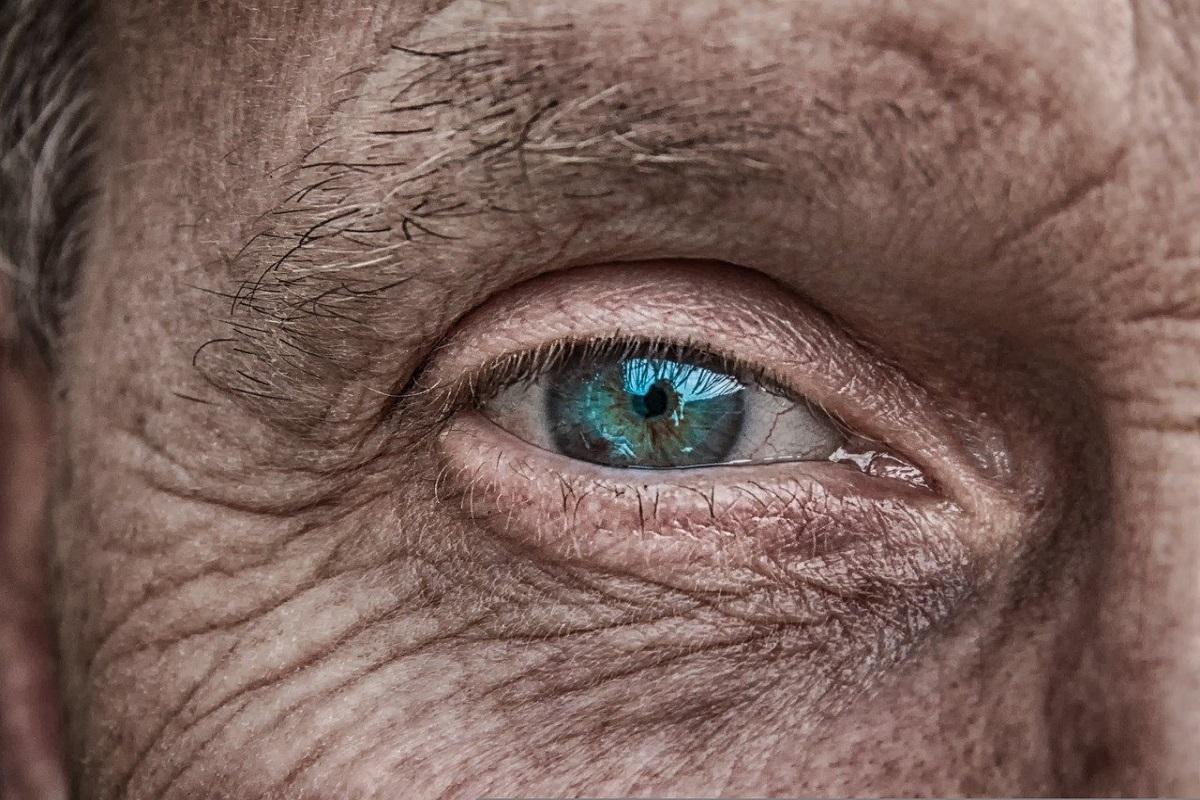 ¿Cuáles son las causas más comunes de la pérdida de visión relacionada con la edad y cómo prevenirlas?
