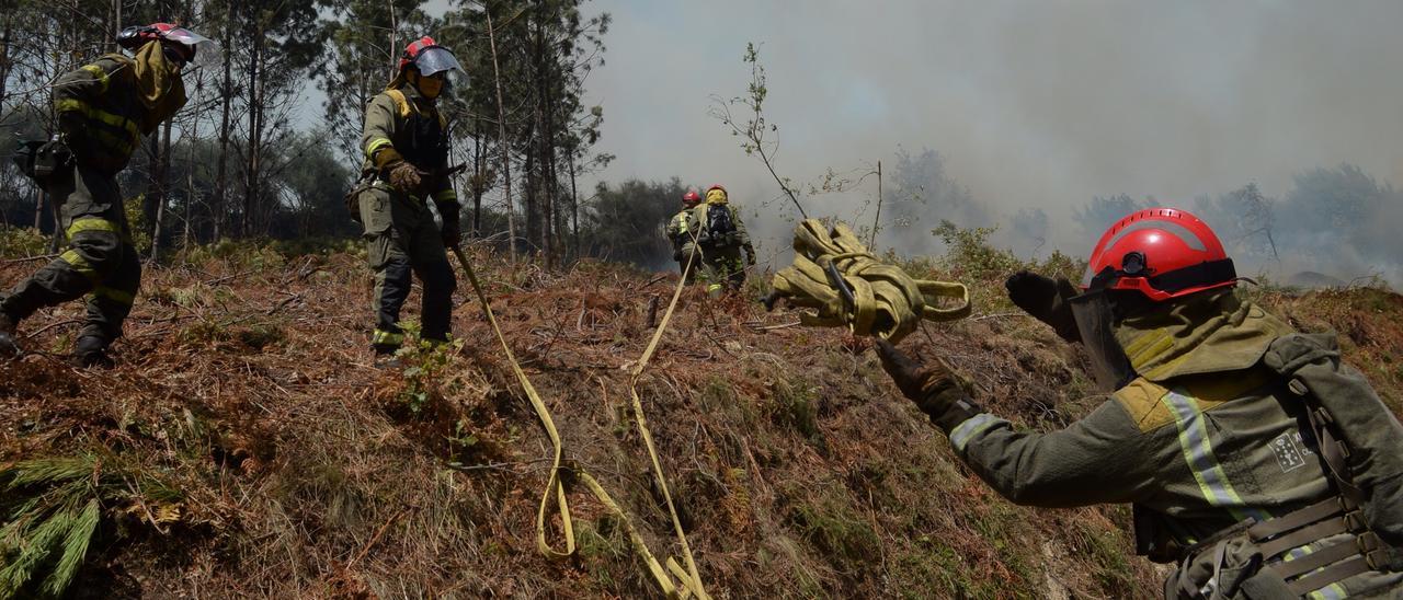 Una brigada intenta sofocar un incendio forestal