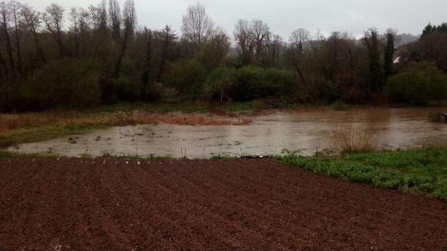 Las lluvias formaron lagunas en varias parcelas anexas al río.