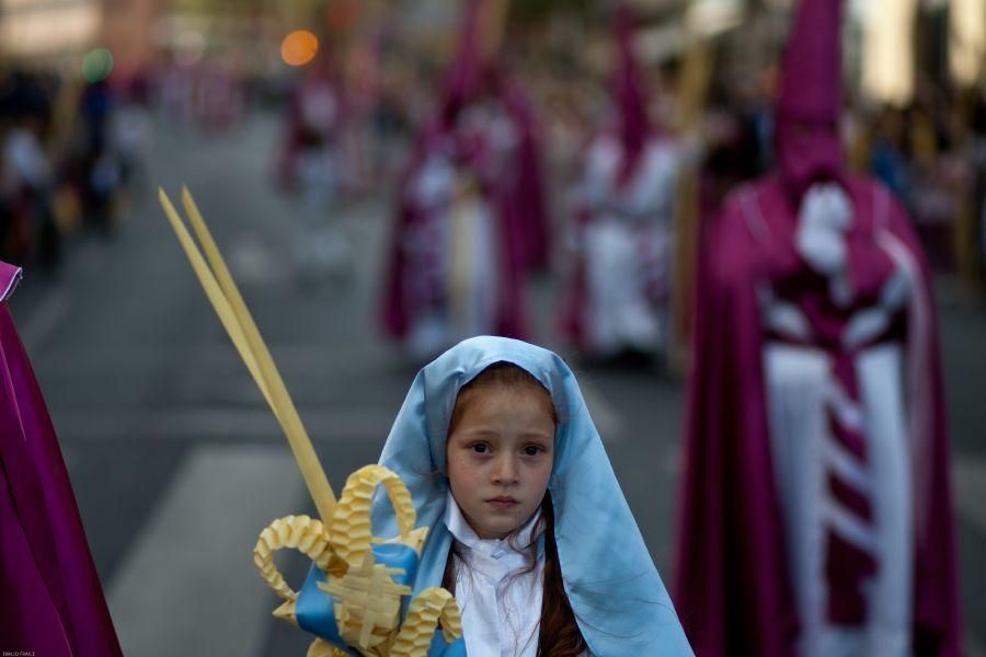 Semana Santa en Zamora: La Borriquita