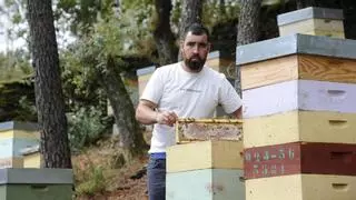 Las continuas lluvias de primavera dieron al traste con la cosecha de miel de eucalipto y brezo