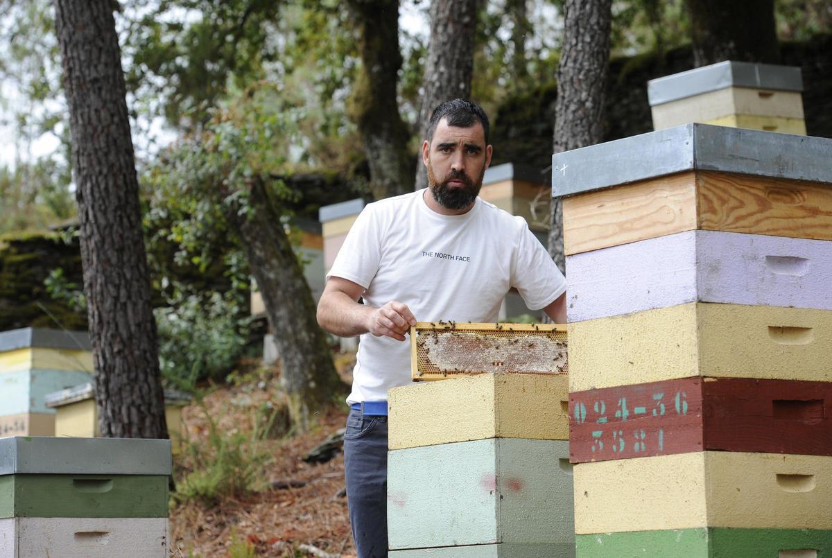 David Liñares, en una imagen de archivo en su colmenar de Vilatuxe.