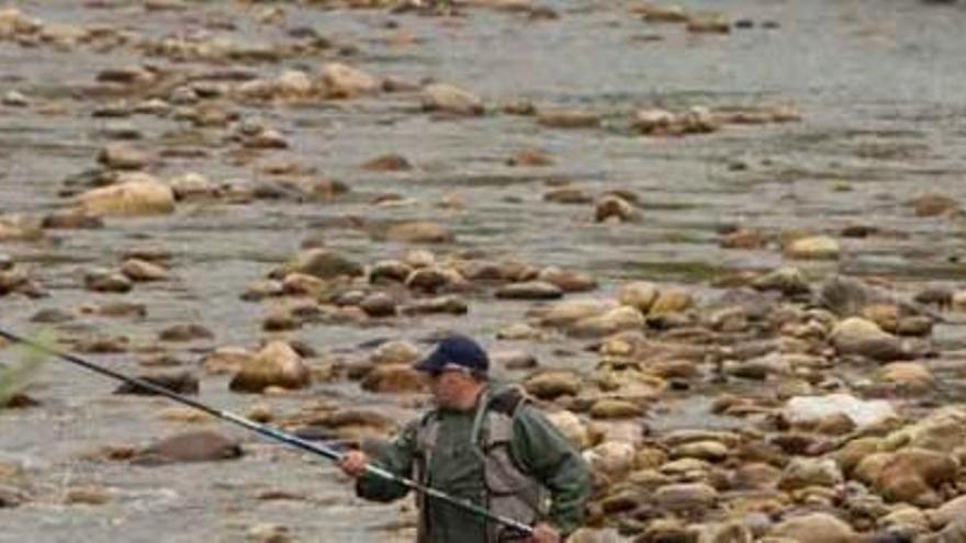 Cascos elimina las restricciones al salmón al retirar los días de veda y la pesca sin muerte