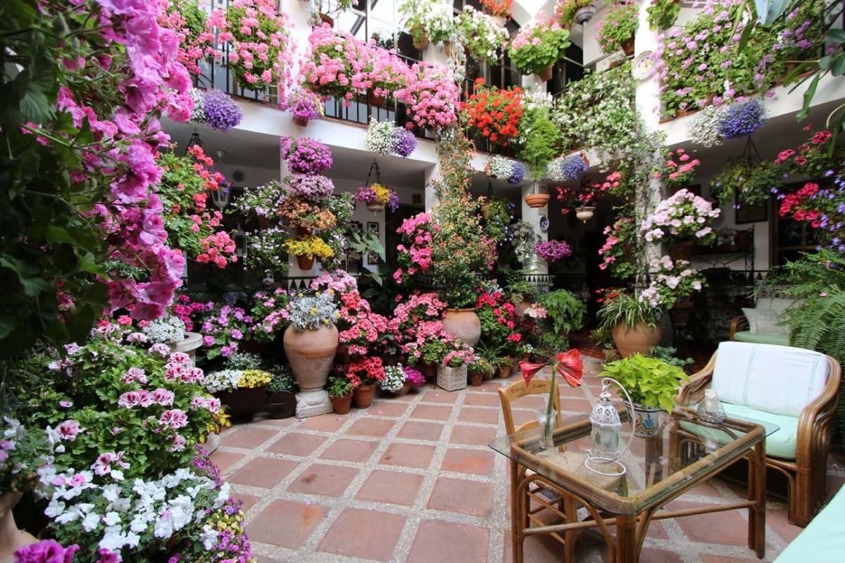 Los patios de Córdoba: las mejores fotos en San Agustín