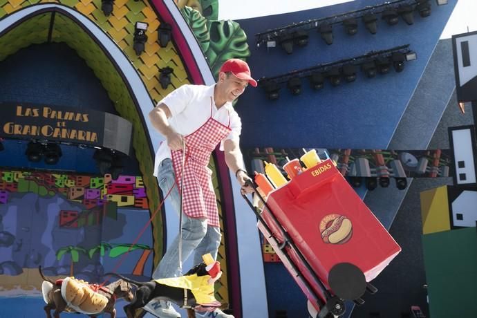 24.02.19. Las Palmas de Gran Canaria. Carnaval 2019. Concurso Carnaval Canino 2019. Daniel Guaraglia, presenta a Bimbo y Lúcas, con la fantasía "Salchipapa" . Foto Quique Curbelo