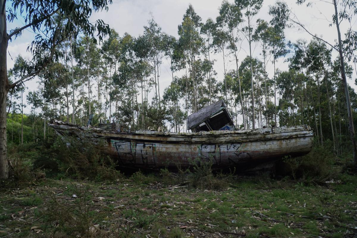 El barco lleva tiempo abandonado en el monte coruñés y ha sido invadido por la naturaleza.