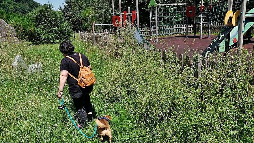 Podemos pide que la privatización de la jardinería sea solo “transitoria”