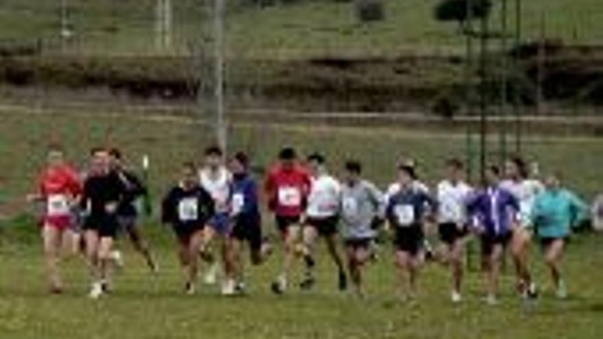 Fijada la final de campo a través