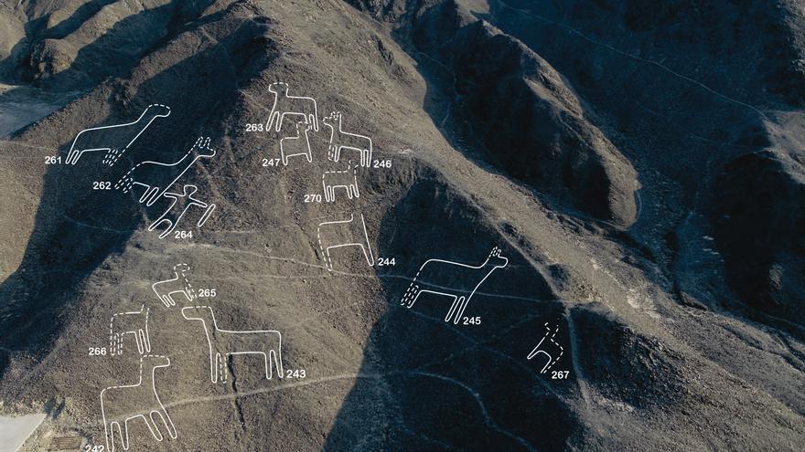 Les enigmàtiques línies de Nazca possiblement senyalitzaven camins i senders