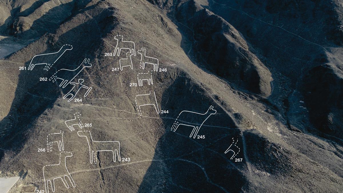 Algunes de les línies de Nazca, remarcades pels científics