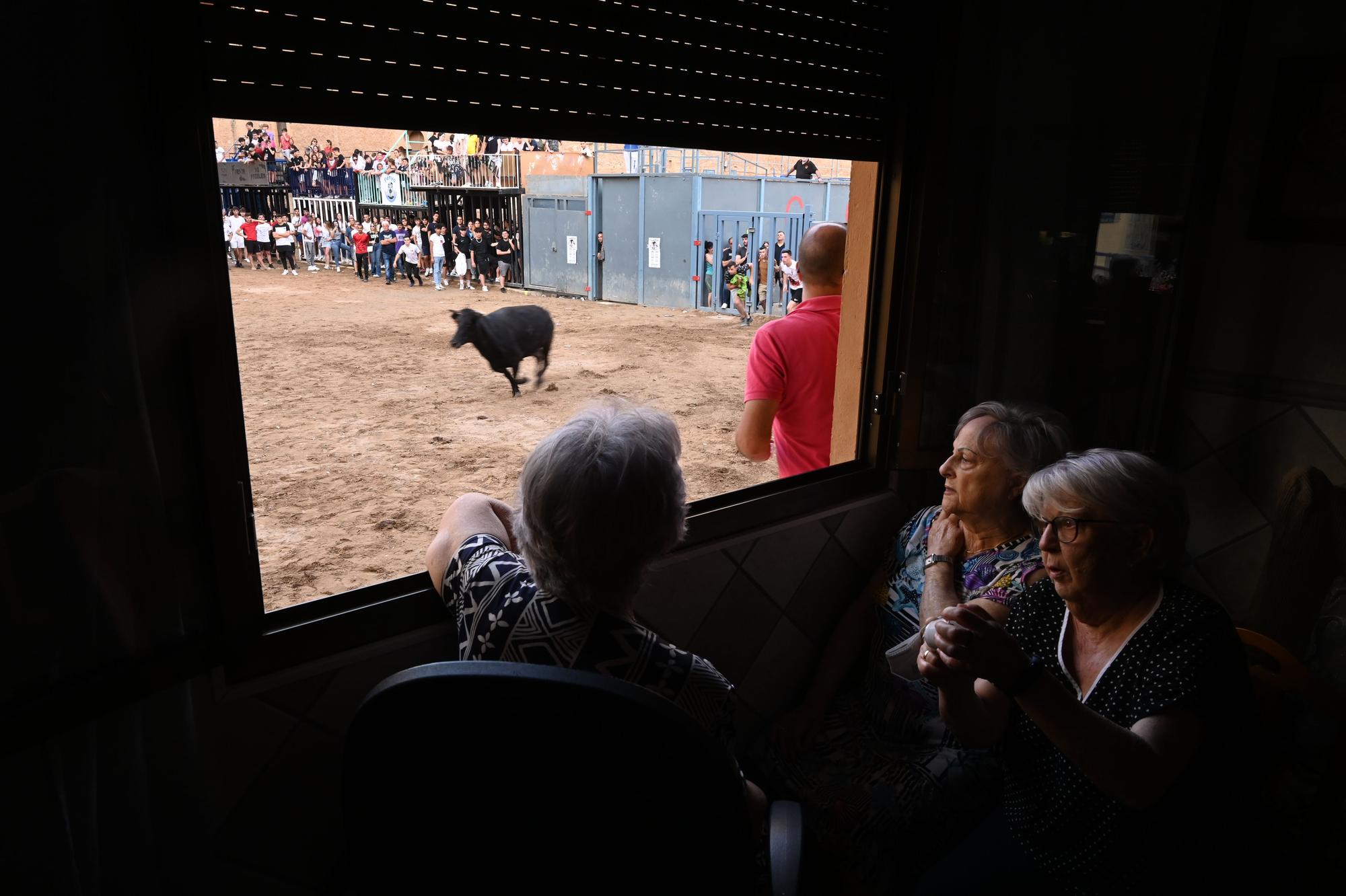 Revive los mejores momentos de la última sesión vespertina de toros en Vila-real