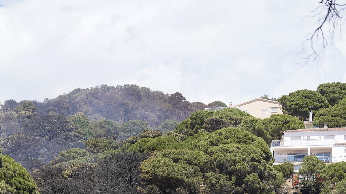 Incendi entre Lloret i Tossa