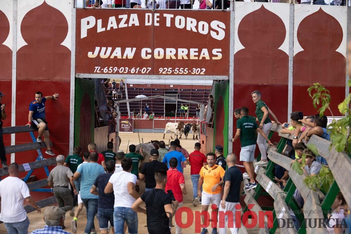 Primer encierro de la Feria del Arroz de Calasparra