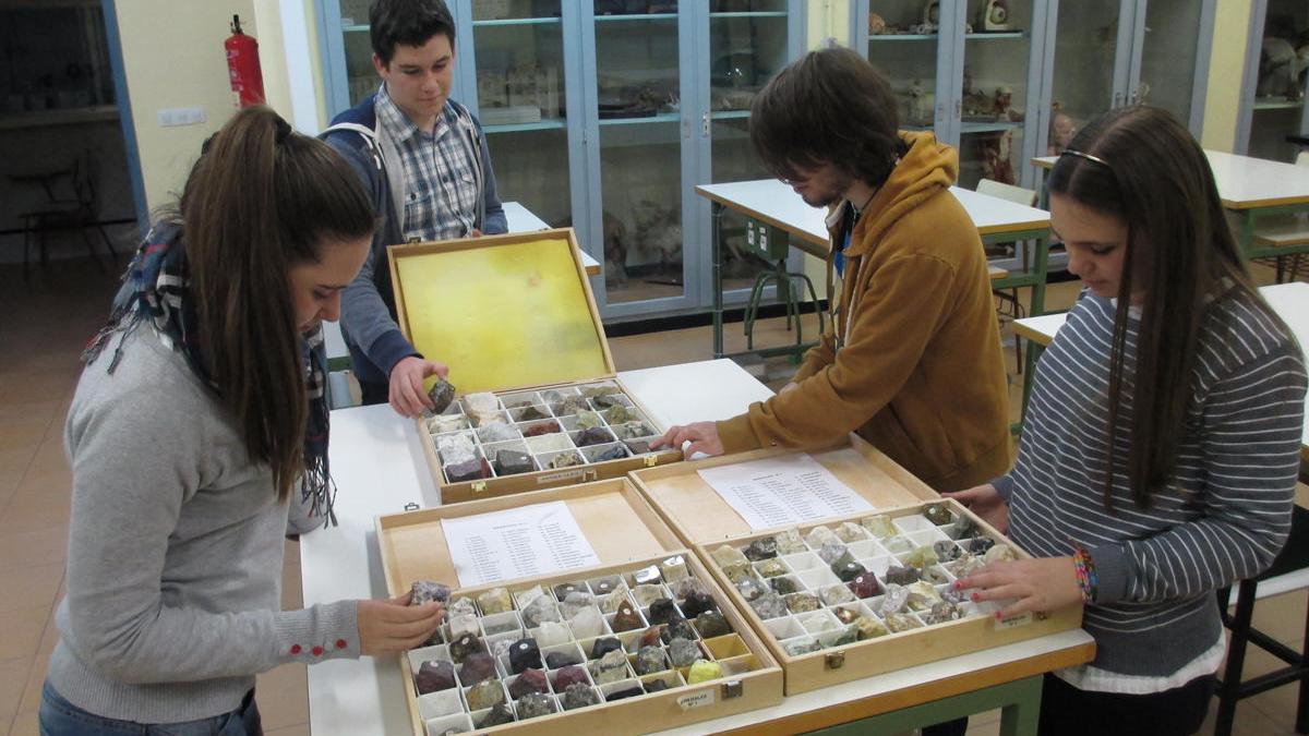 Alumnos clasificando los minerales.