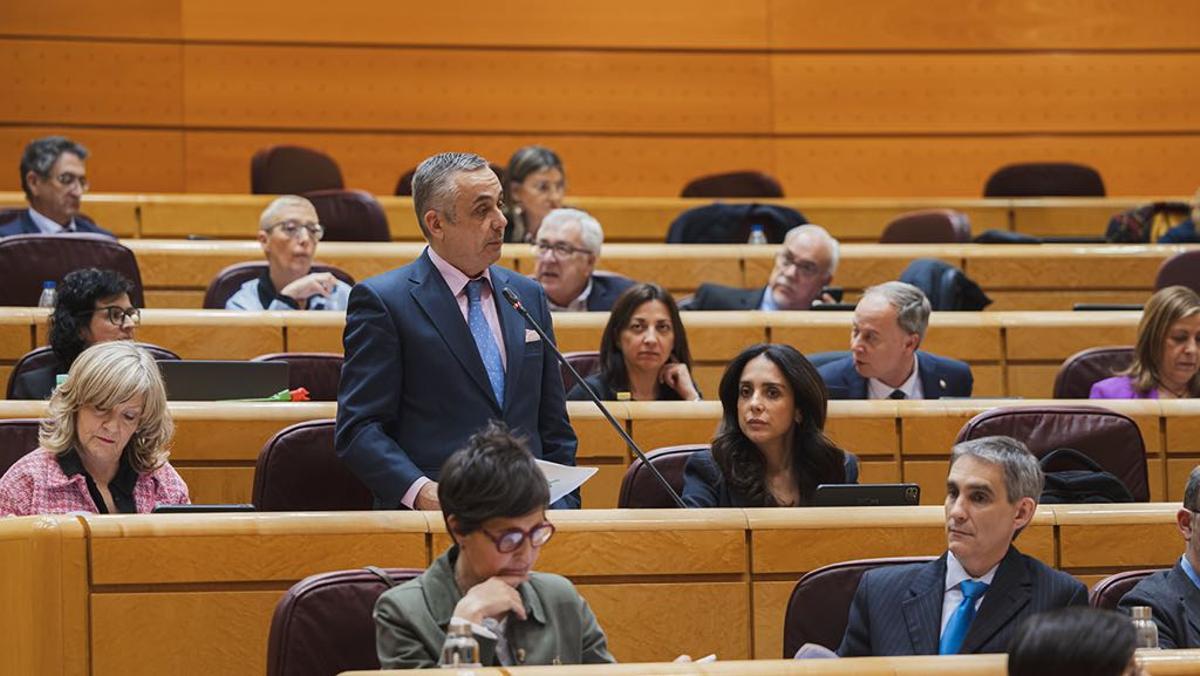 El senador Pelayo Gordillo, este martes en la Cámara Alta.