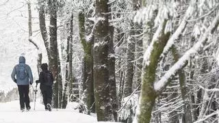 Nieve y olas de más de 10 metros: el temporal azota Galicia al paso de la borrasca Louis