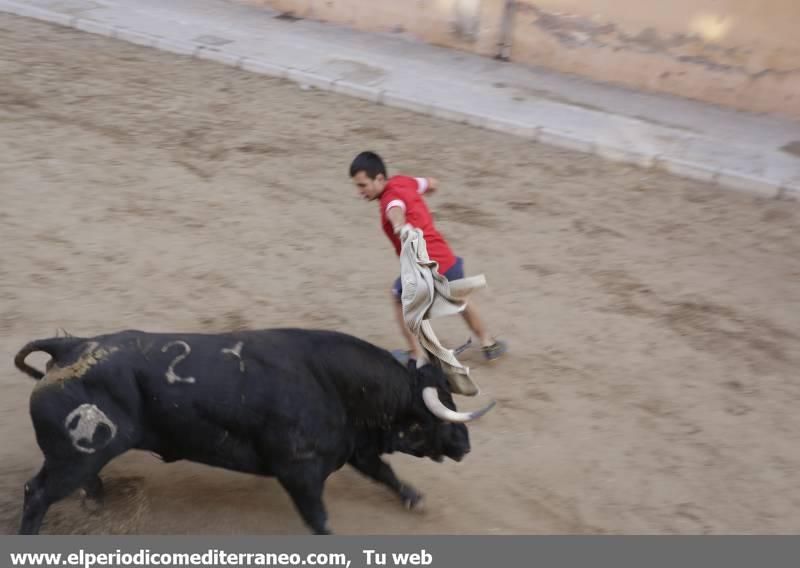 Mare de Déu de Gràcia de Vila-real 2018