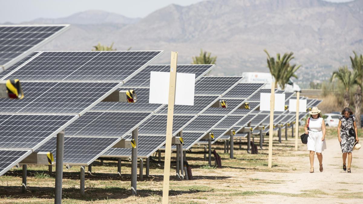 Imagen de una planta fotovoltaica en la provincia de Alacant.