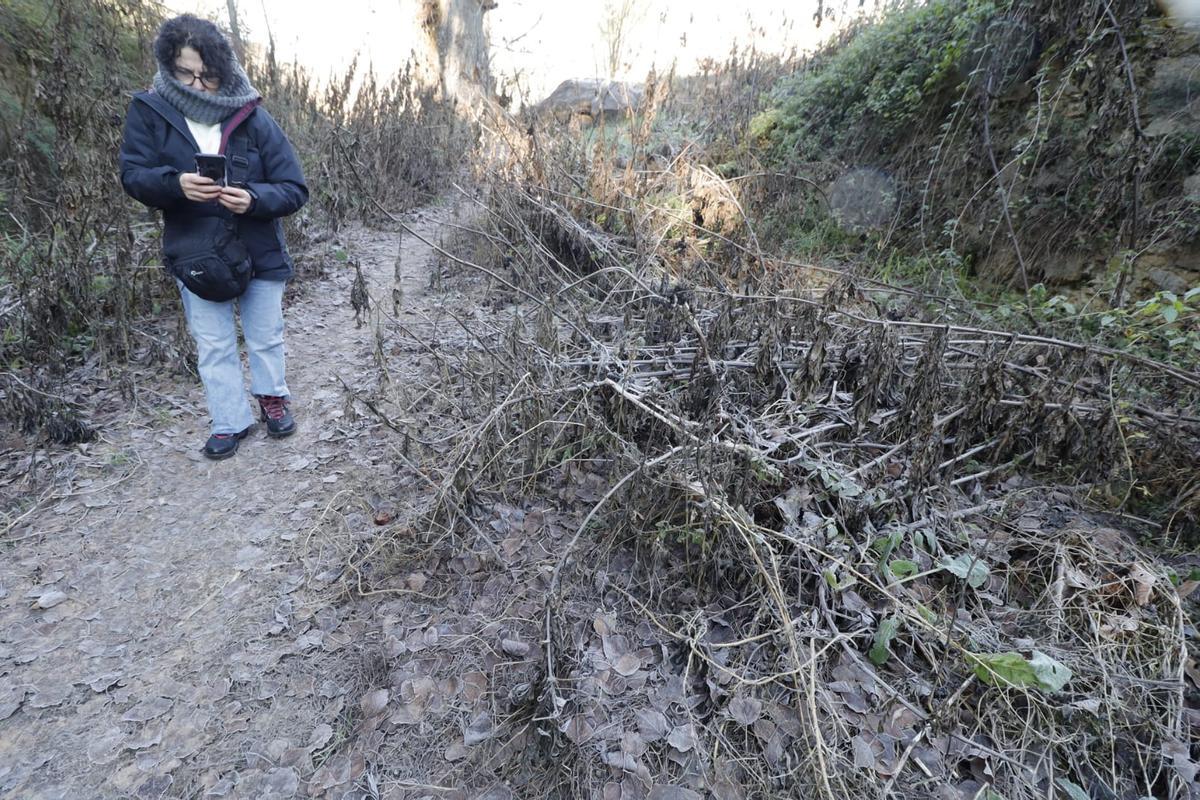 Mañana de frío y hielo en la sierra de Mariola Mañana de frío y hielo en la sierra de Mariola