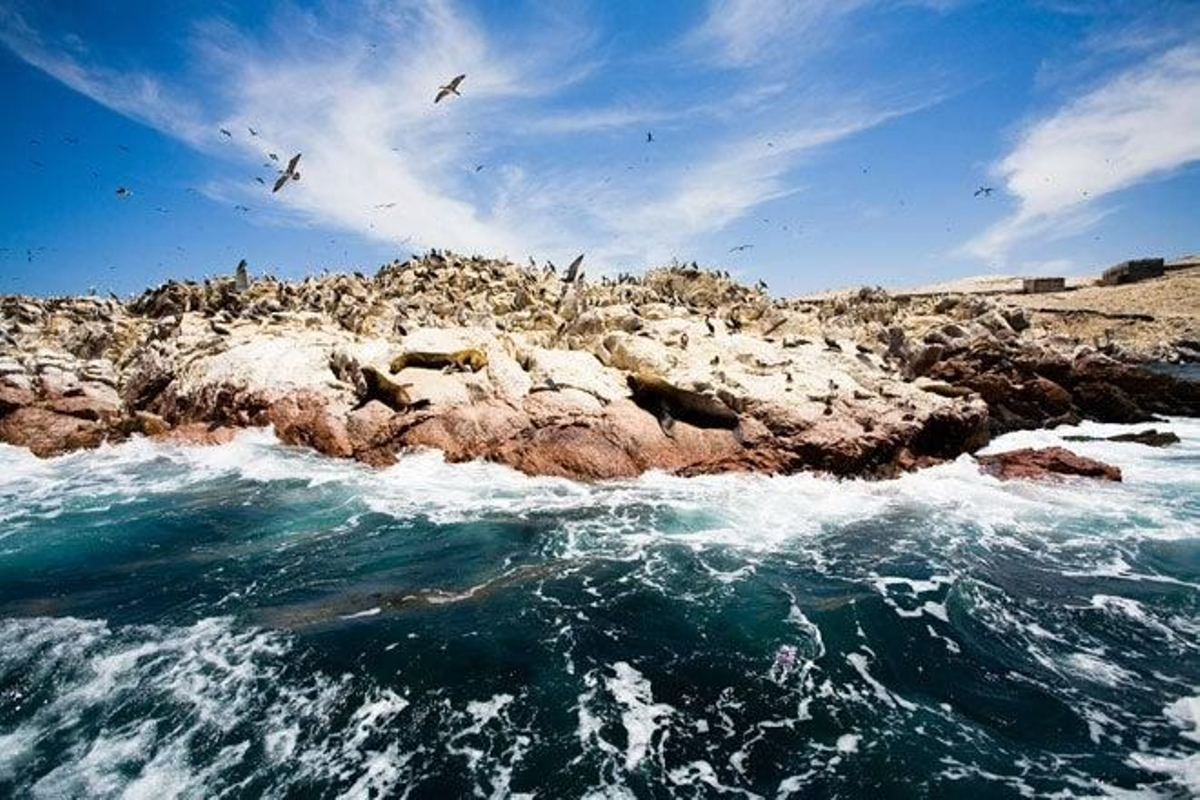 Las islas Ballestas