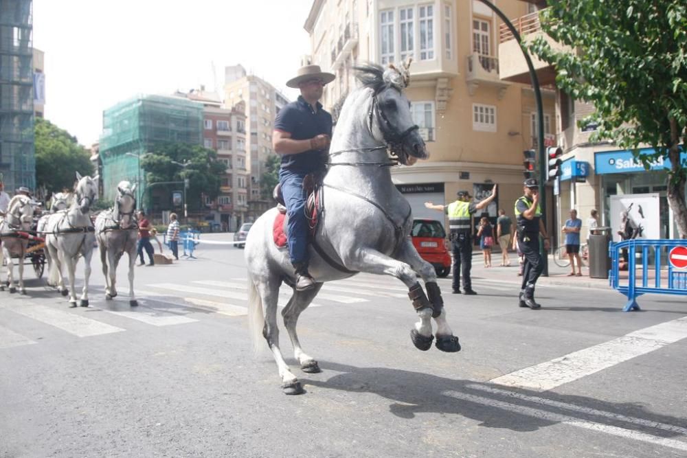 Día del caballo en la Feria de Murcia 2018