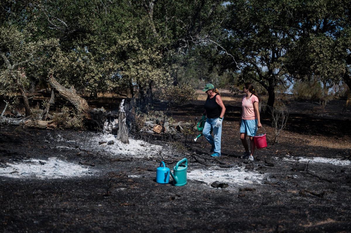Galería | Las Viñas de Arroyo de la Luz, el día después del incendio Galería | Las Viñas de Arroyo de la Luz, el día después del incendio