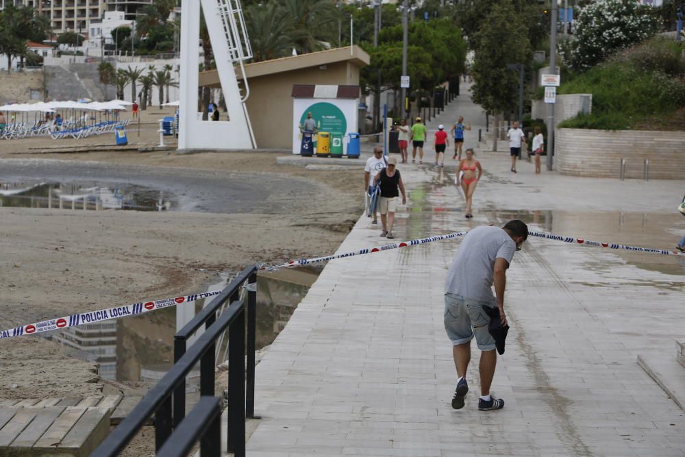 Daños del temporal en la Albufereta