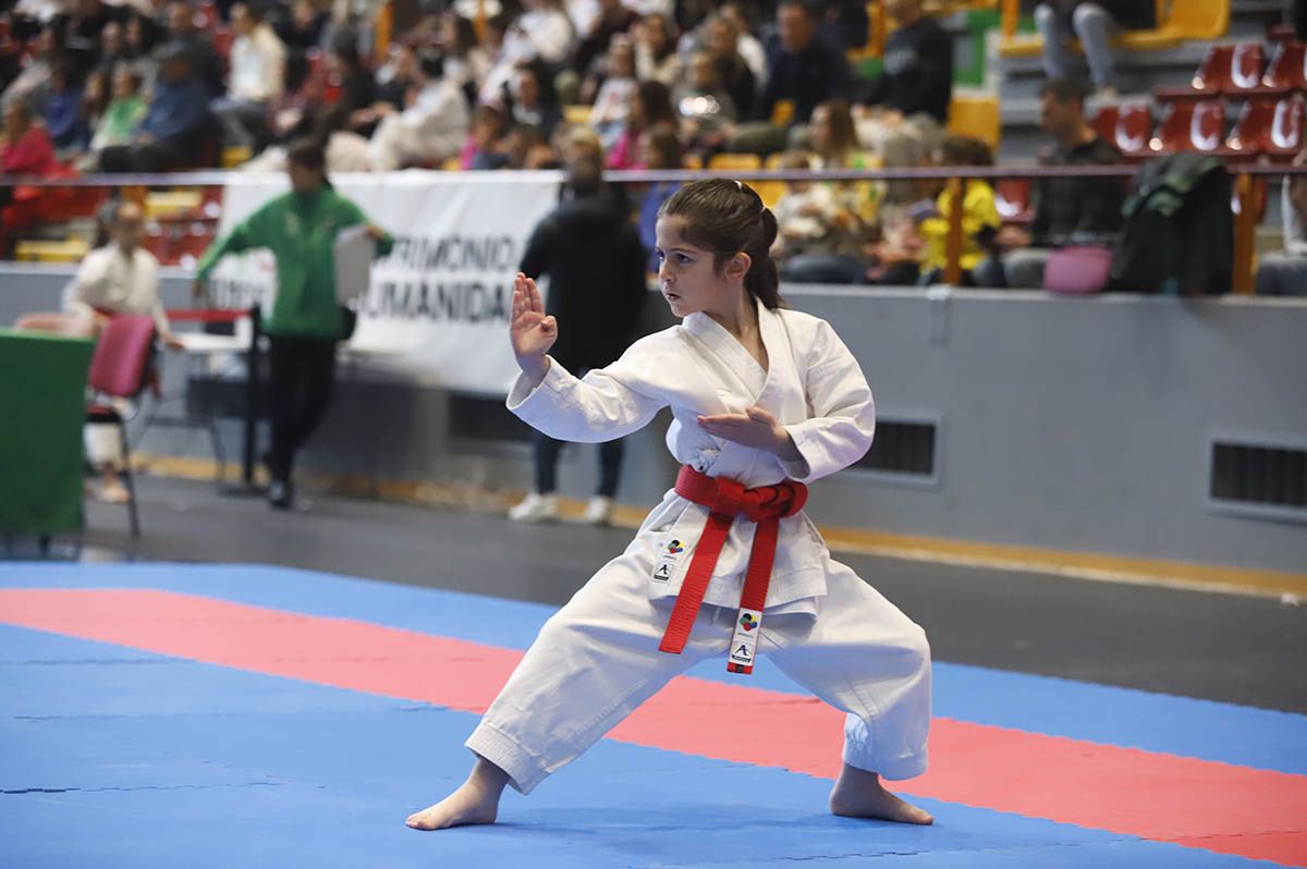 El Campeonato de Andalucía infantil de kárate y de parakárete, en imagenes