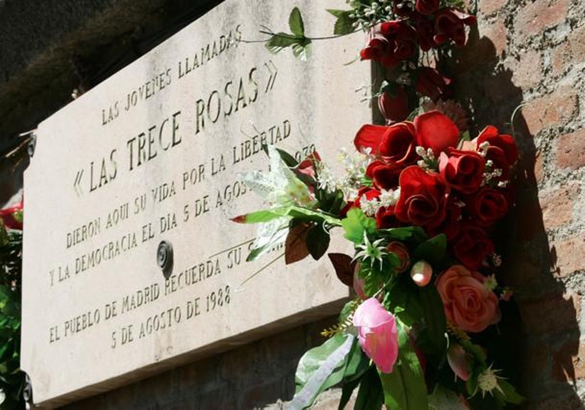 rosas rosas