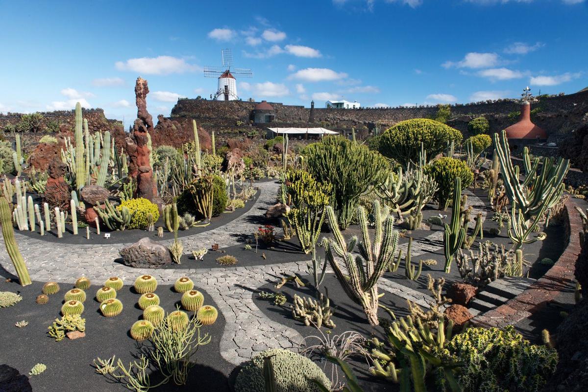 El Jardín de Cactus