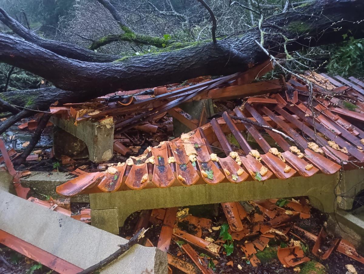Estado en el que quedó el lavadero de Meis tras caer un árbol sobre él.
