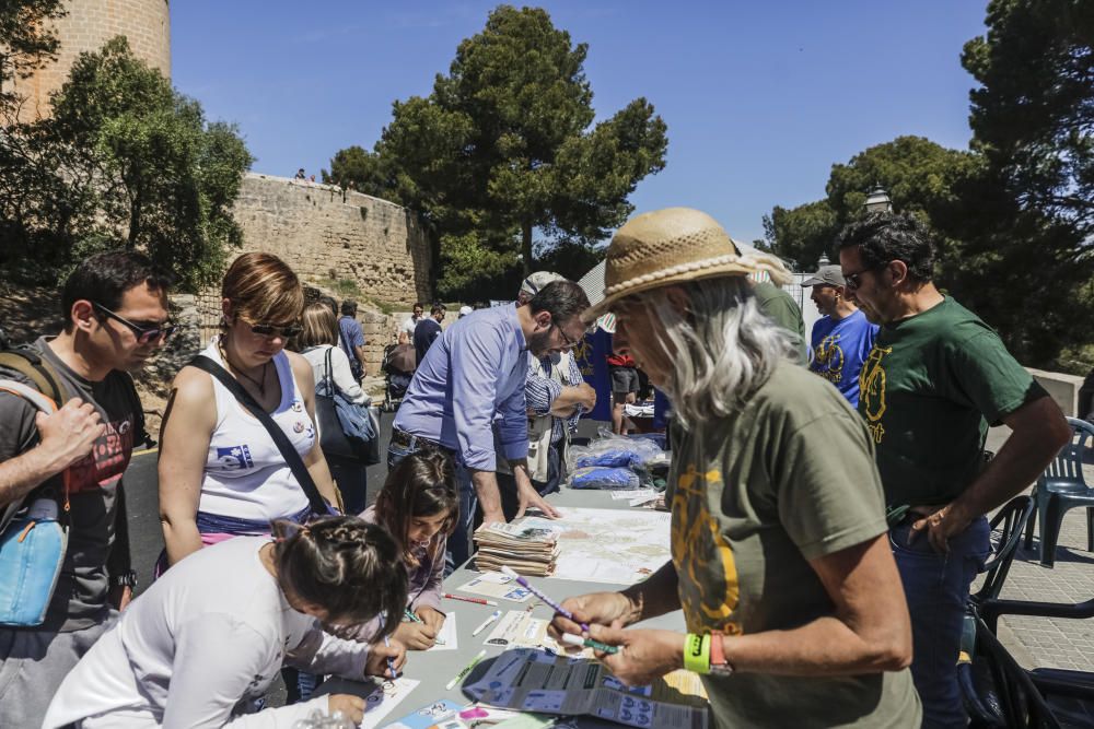 Diumenge de l' Àngel 2017