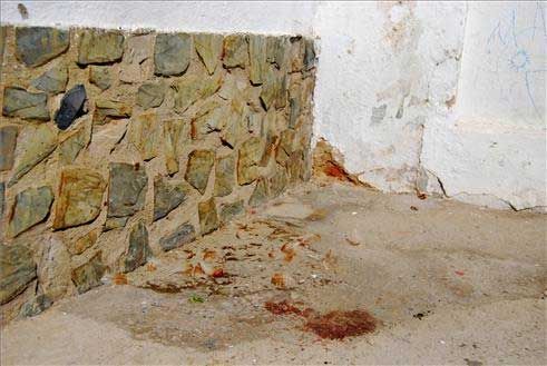 Imágenes del maltrato a una burra en Torreorgaz y a otros animales