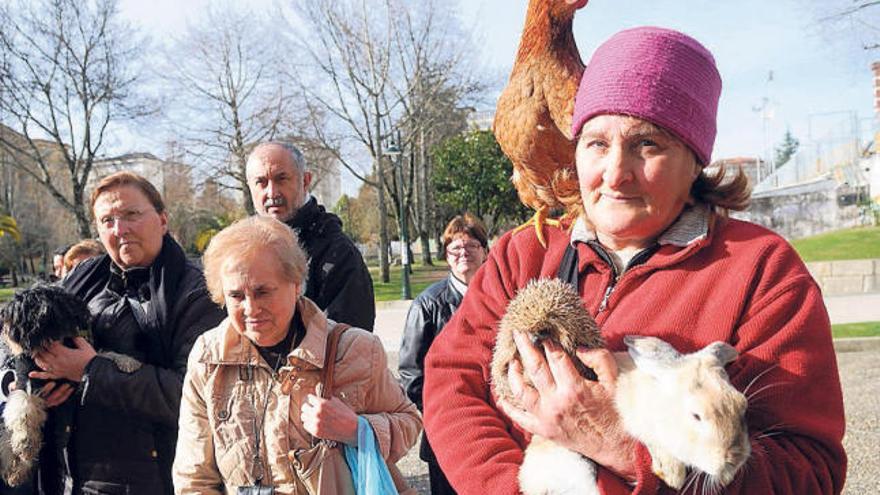 Una gallina, un erizo y un conejo, entre las mascotas más sorprendentes que acudieron a la ceremonia