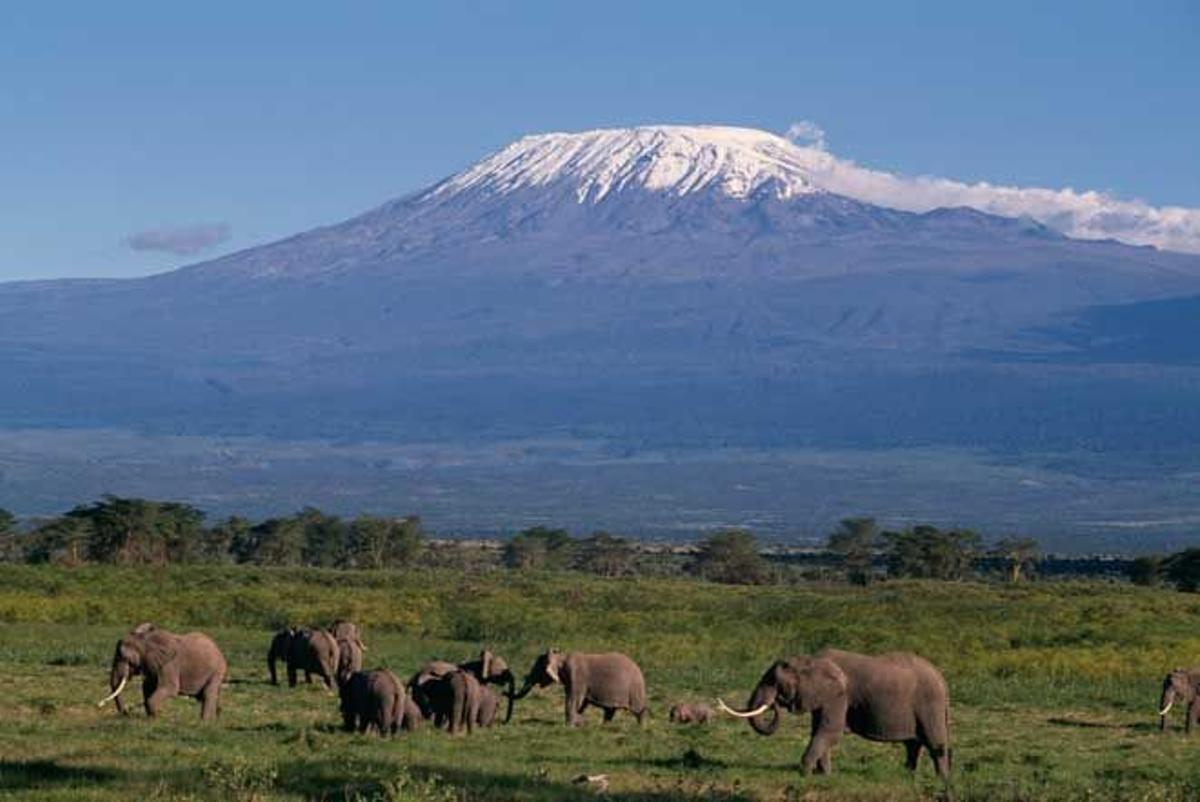 Reserva Amboseli, en Kenia.