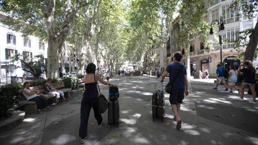 Ferienvermietung auf Mallorca: Frist für Portale, Inspektionen, Anzeigen