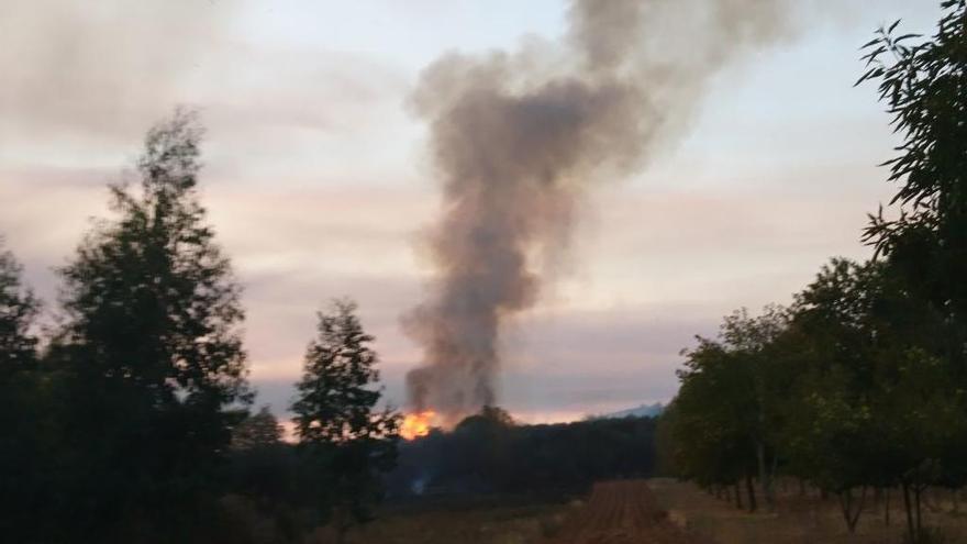 Uno de los puntos del incendio en Calvos de Randín. // FdV