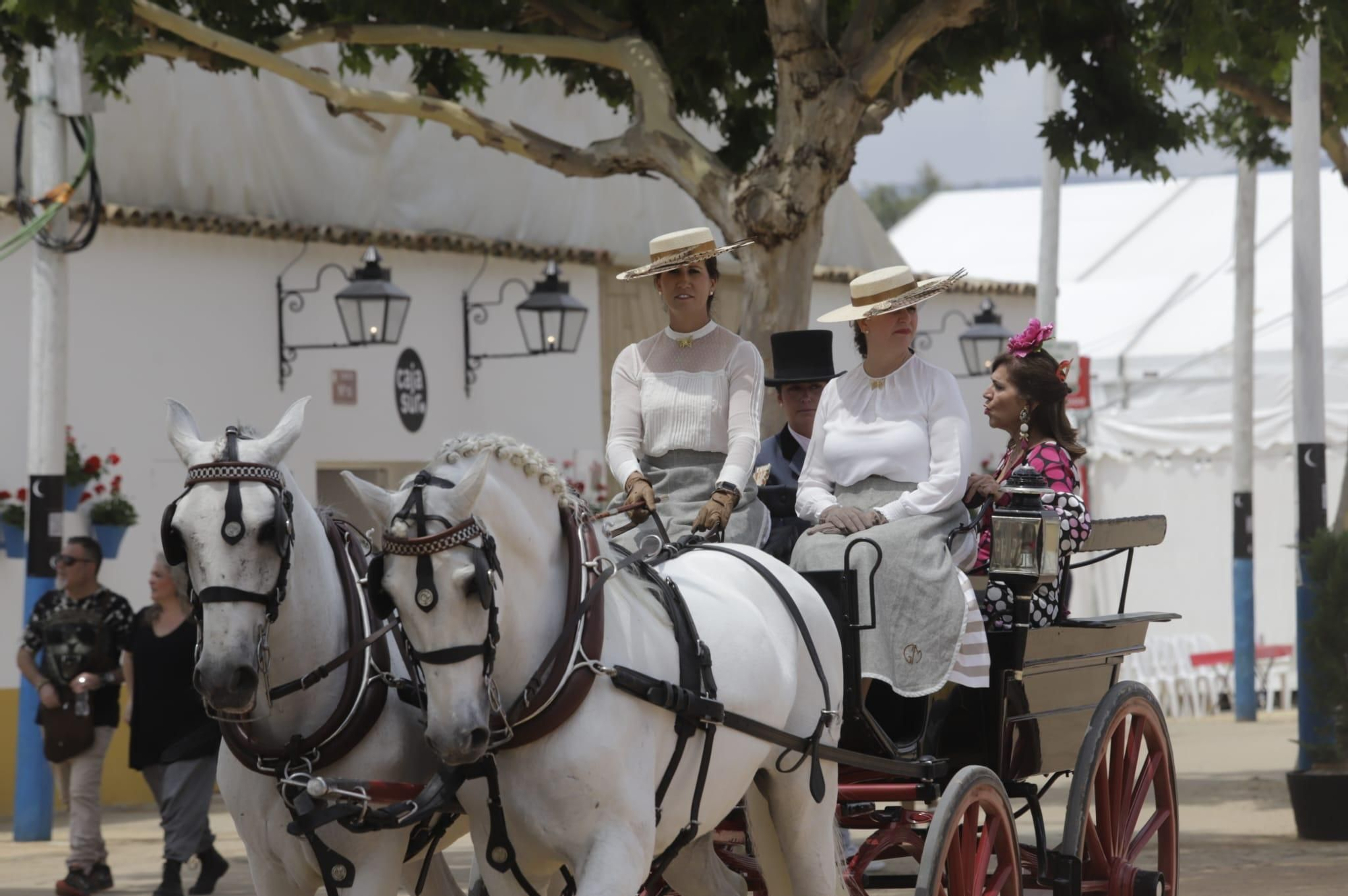 El primer sábado de la Feria de Córdoba en imágenes