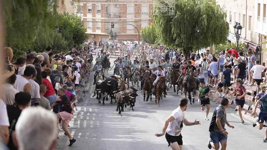 Las reses bravas de El Rellano muestran su valía en las Fiestas de Moratalla