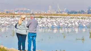 L’ Albufera: icono natural y objeto de poder