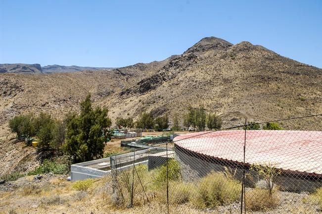 DEPOSITO CONTENEDORES DE BASURA Y VERTEDERO